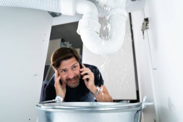 Best Best Plumbers Near Me  in Teutopolis, IL