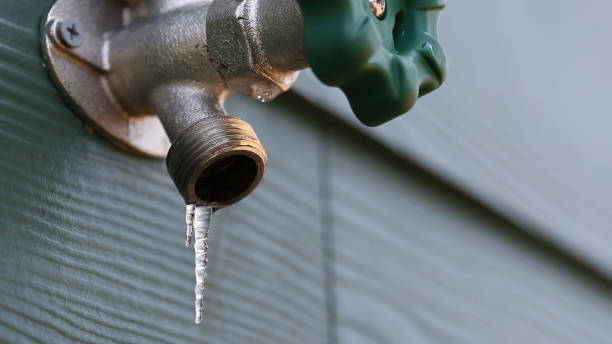 Best Commercial Plumbing Services  in Teutopolis, IL